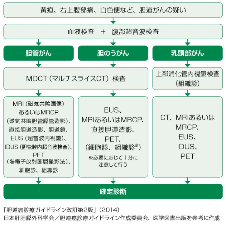 胆管がん｜一般社団法人 日本肝胆膵外科学会